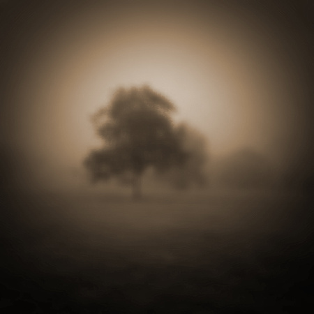Late Morning Fog_72dpi_Christopher Woods