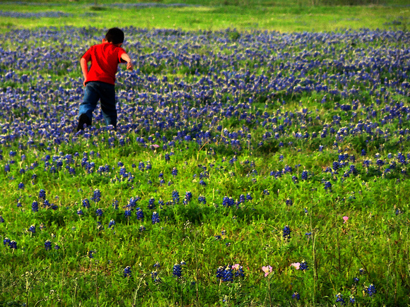 Boy Running in a Blue Field_300dpi_Christopher Woods