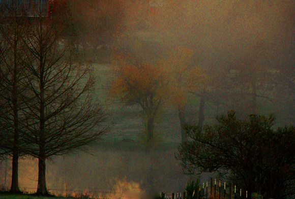 Morning Fog On The Pond_300dpi_Christopher Woods