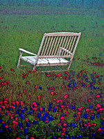 White Rocker In The Field_300dpi_Christopher Woods