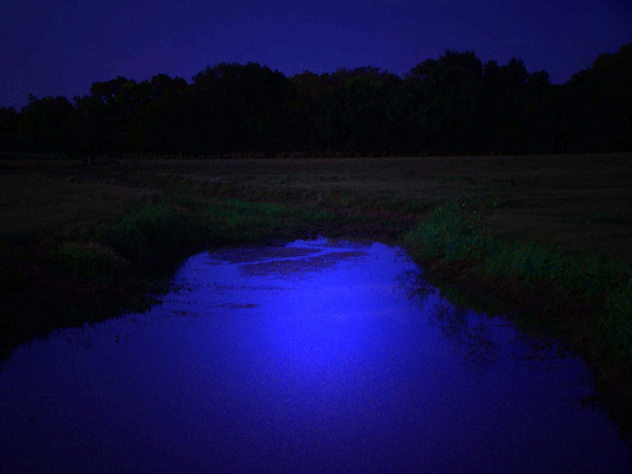 Pond, Last Light_300dpi_Christopher Woods edited