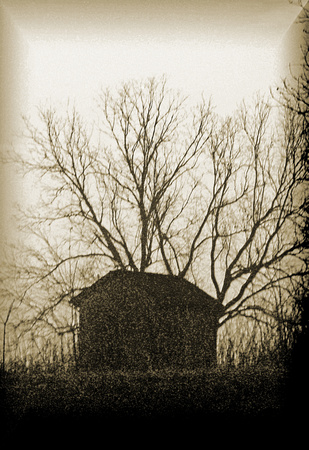 Shack by the Trees (sepia)_300dpi_Christopher Woods