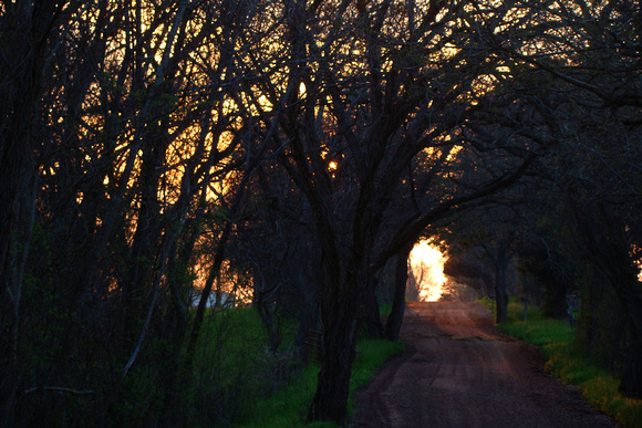 Sunset on a Country Road_72dpi_Christopher Woods