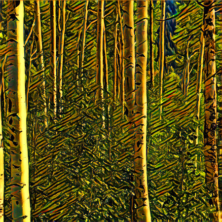 Birch Trees 2_Christopher Woods