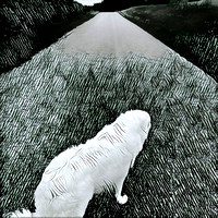 White Dog On the Road_72dpi_Christopher Woods
