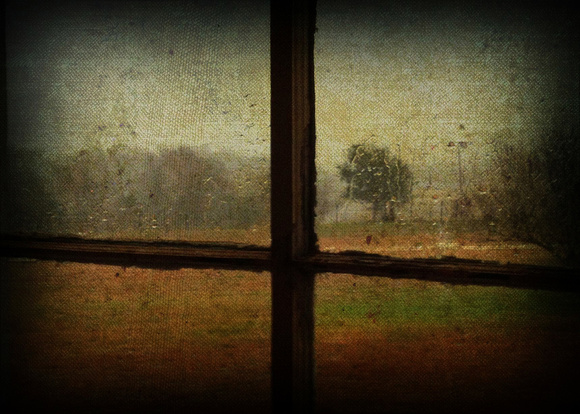 Window, Morning_300dpi_5x7_Christopher Woods
