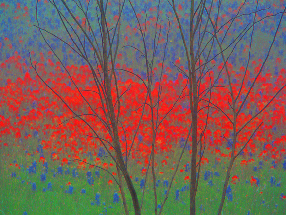 Wildflower Season_300dpi_9x12