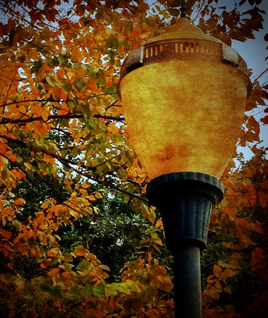 Street Lamp, Fall_72dpi_Christopher Woods